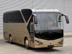 Viseon C10 2010 года